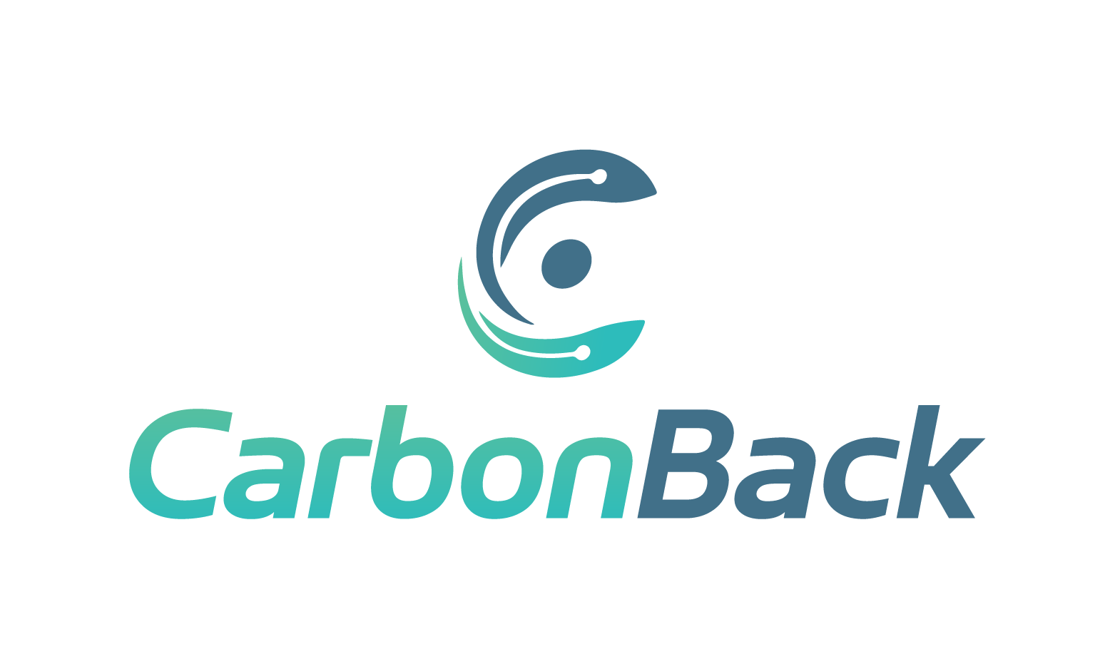 Carbonback.com - Creative premium domain names for sale