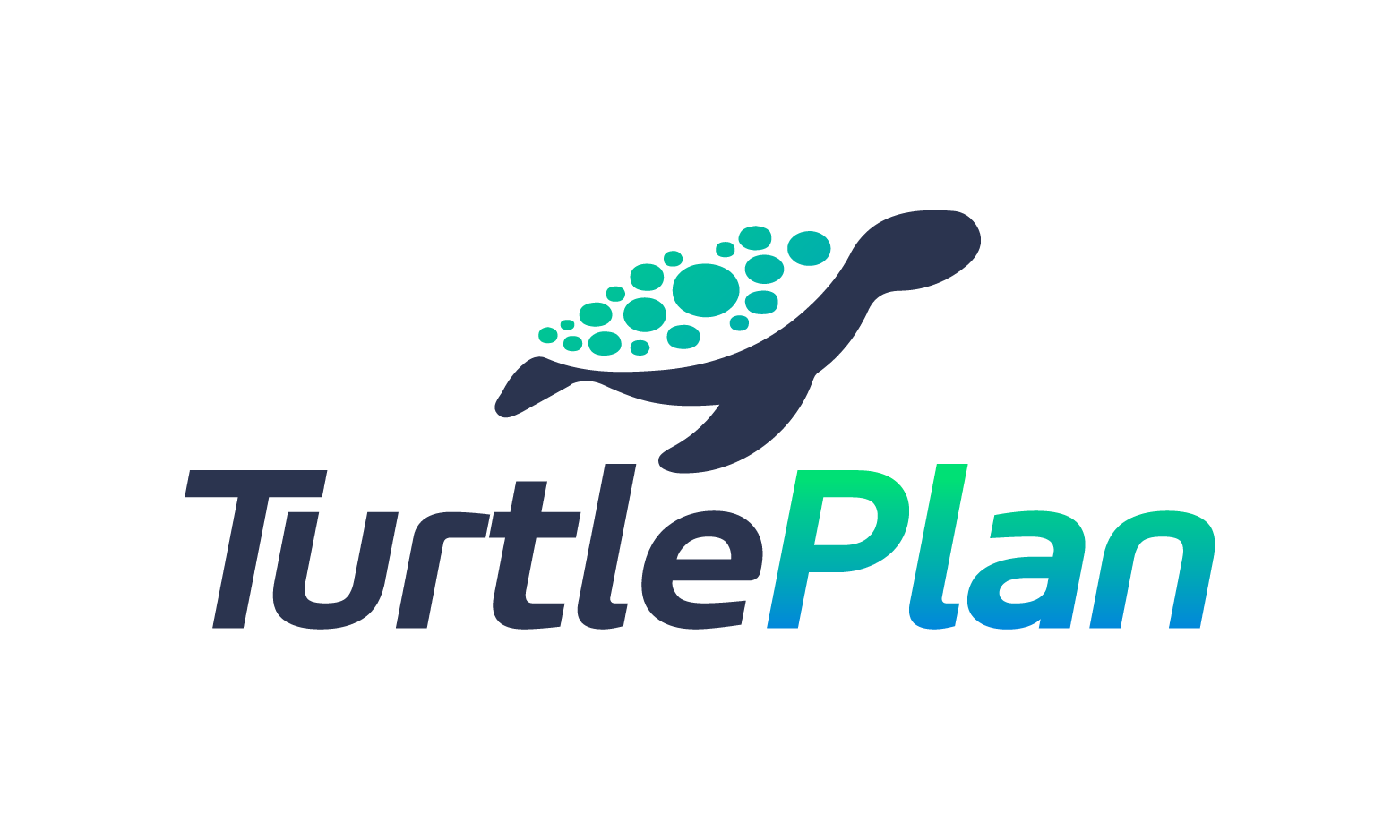 TurtlePlan.com - Cool premium domains