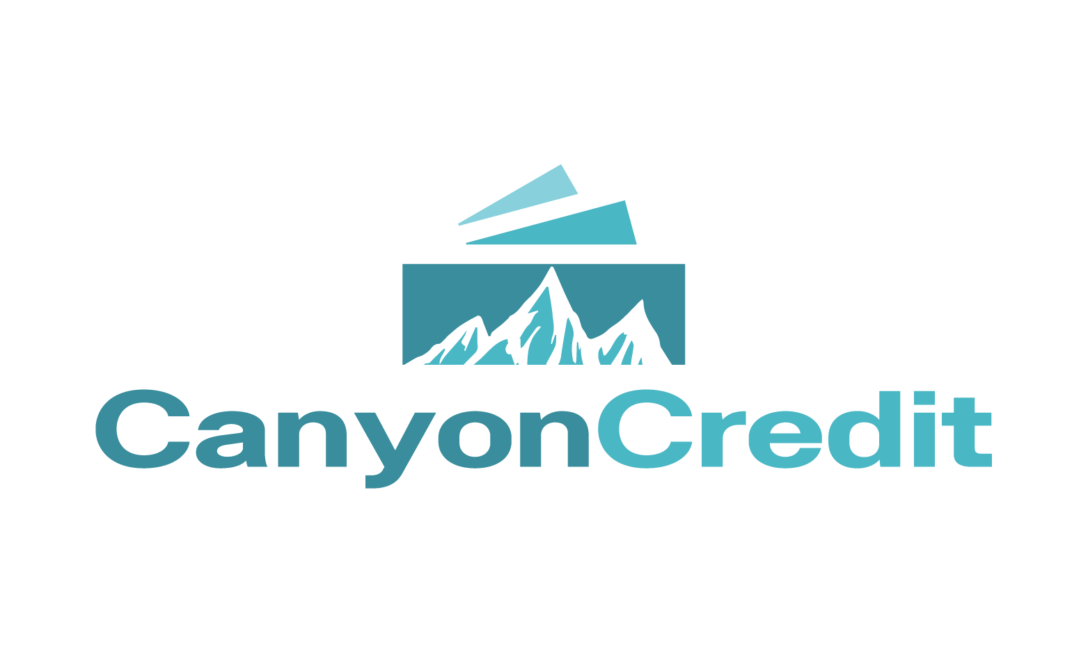 CanyonCredit.com - New domains for sale