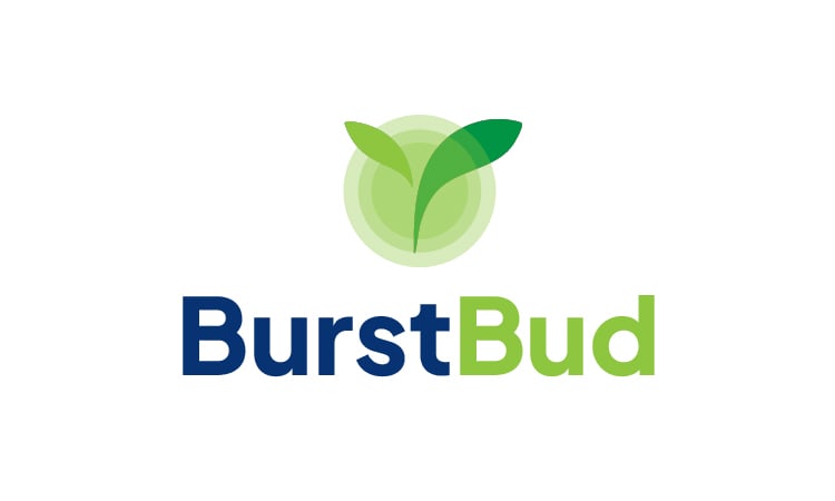 BurstBud.com - Unique domains for sale