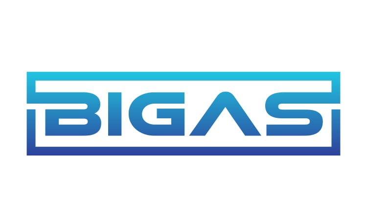 Bigas logo