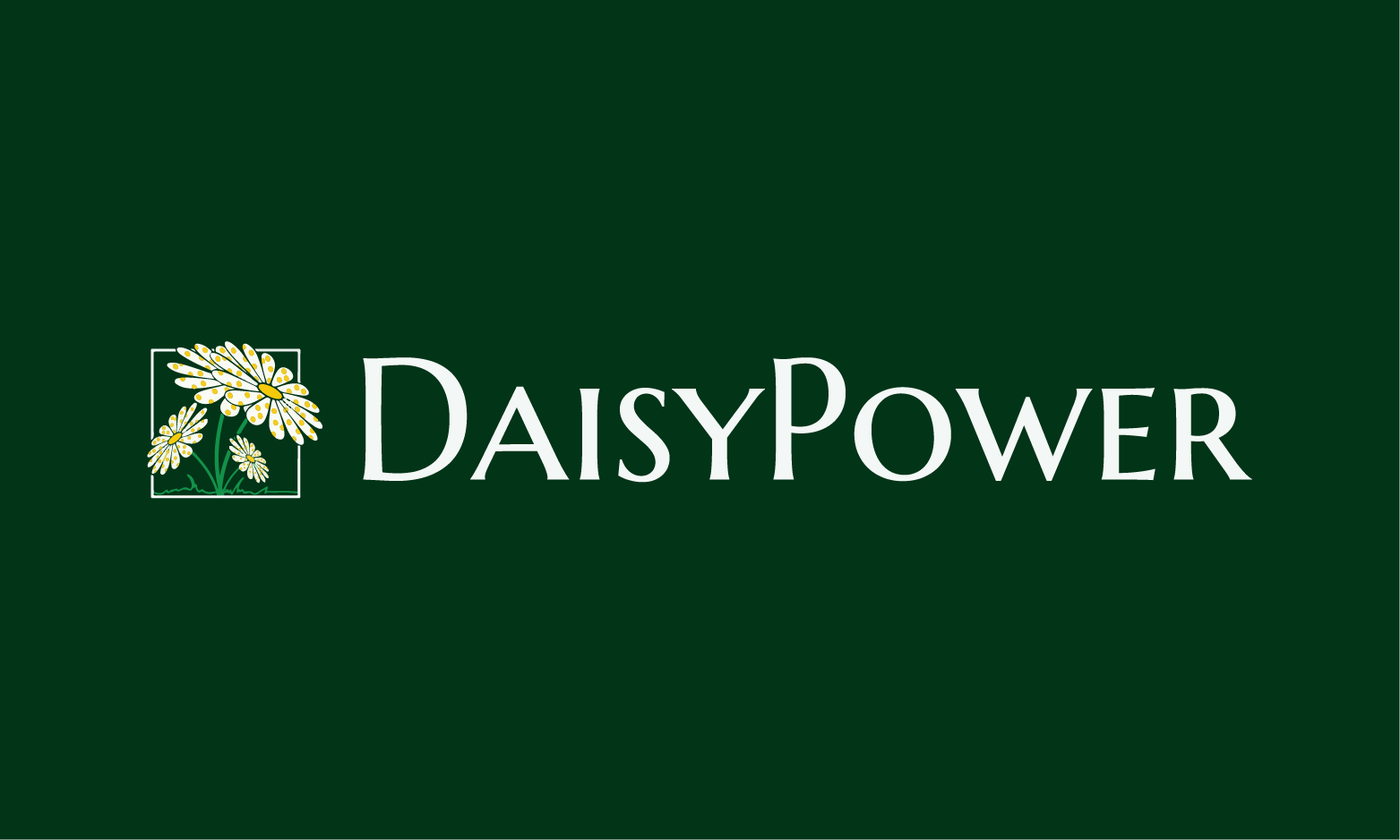 DaisyPower.com - Great premium domains