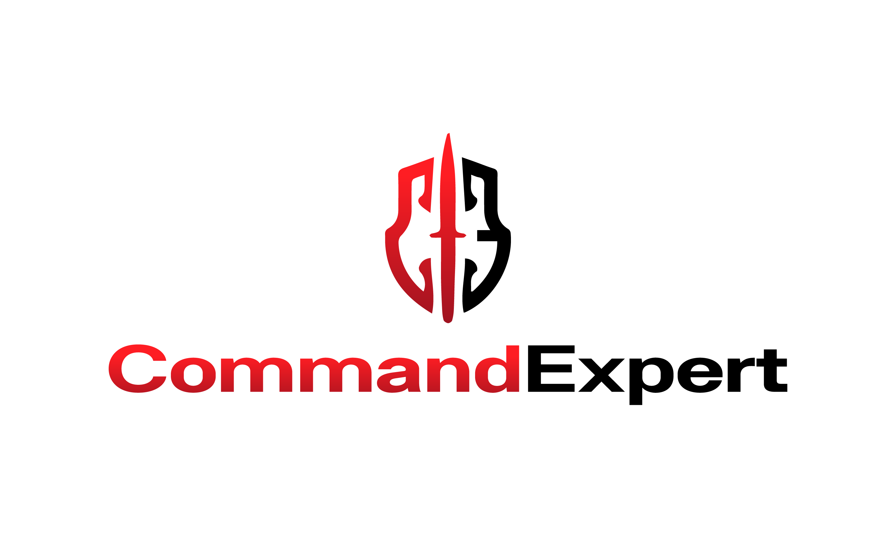 CommandExpert logo