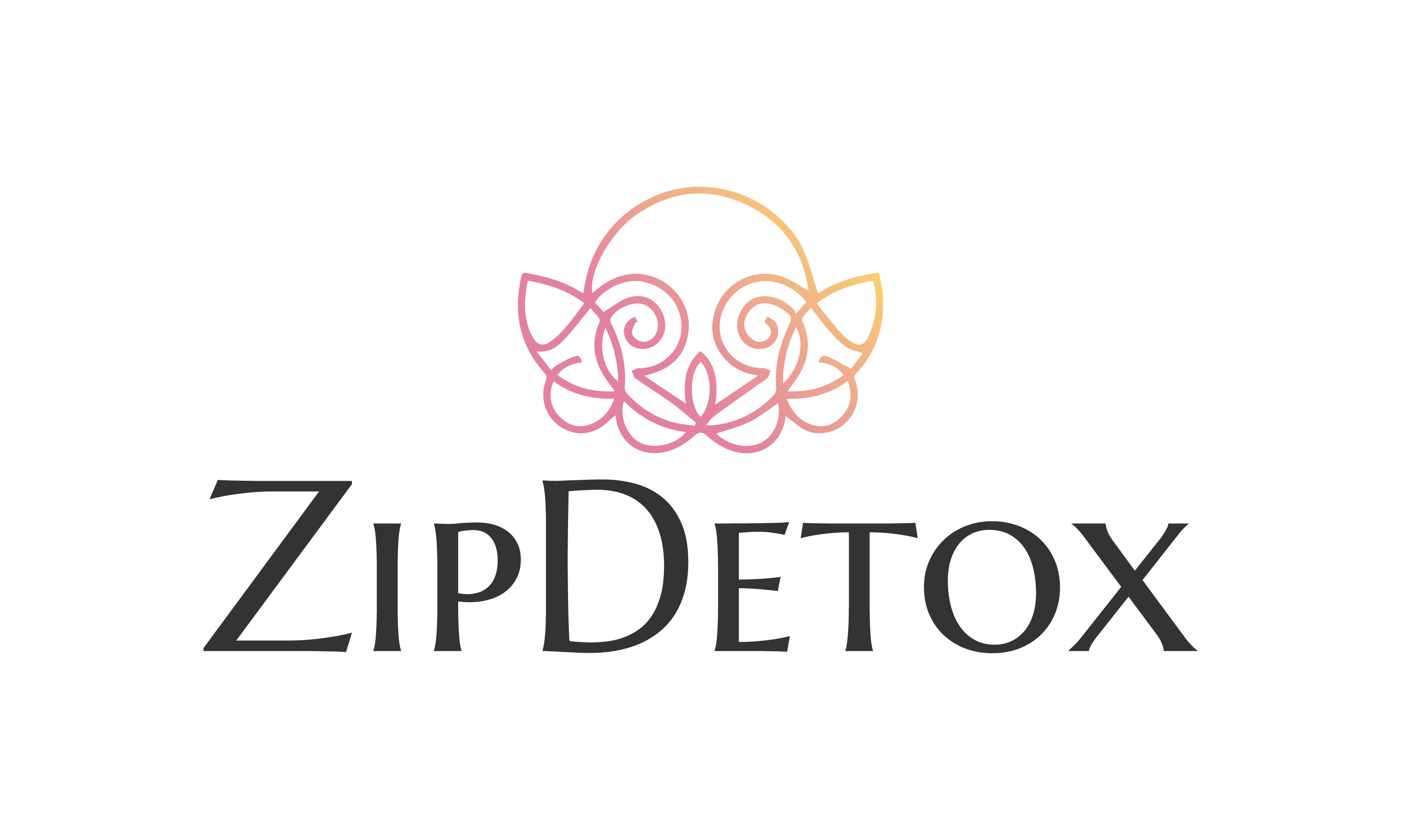 ZipDetox logo