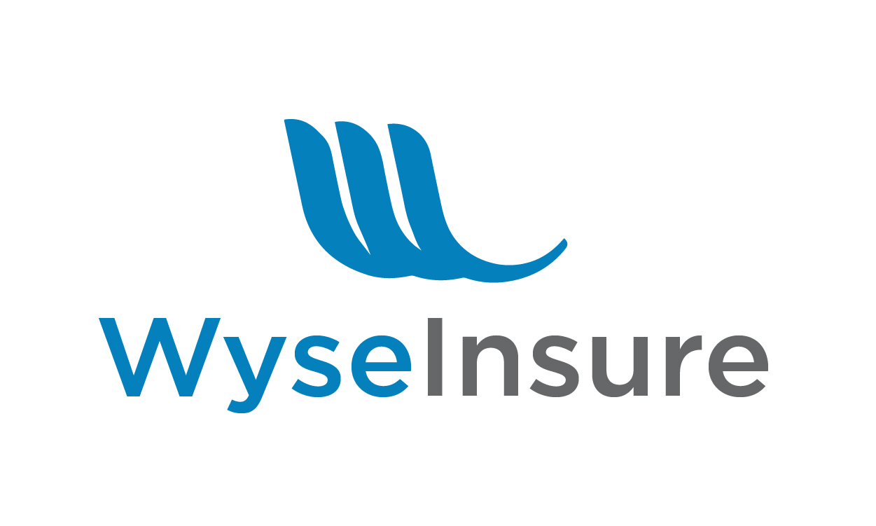 WyseInsure.com - New premium domains for sale
