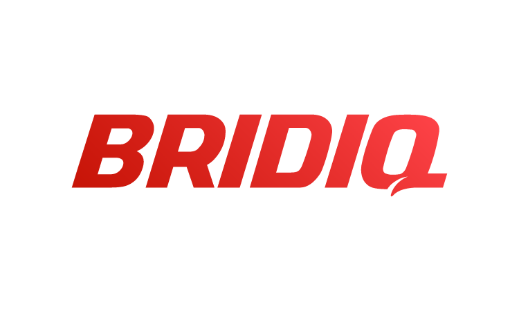 Bridiq.com - Creative premium names