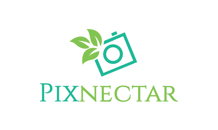 Pixnectar.com - Creative domains for sale