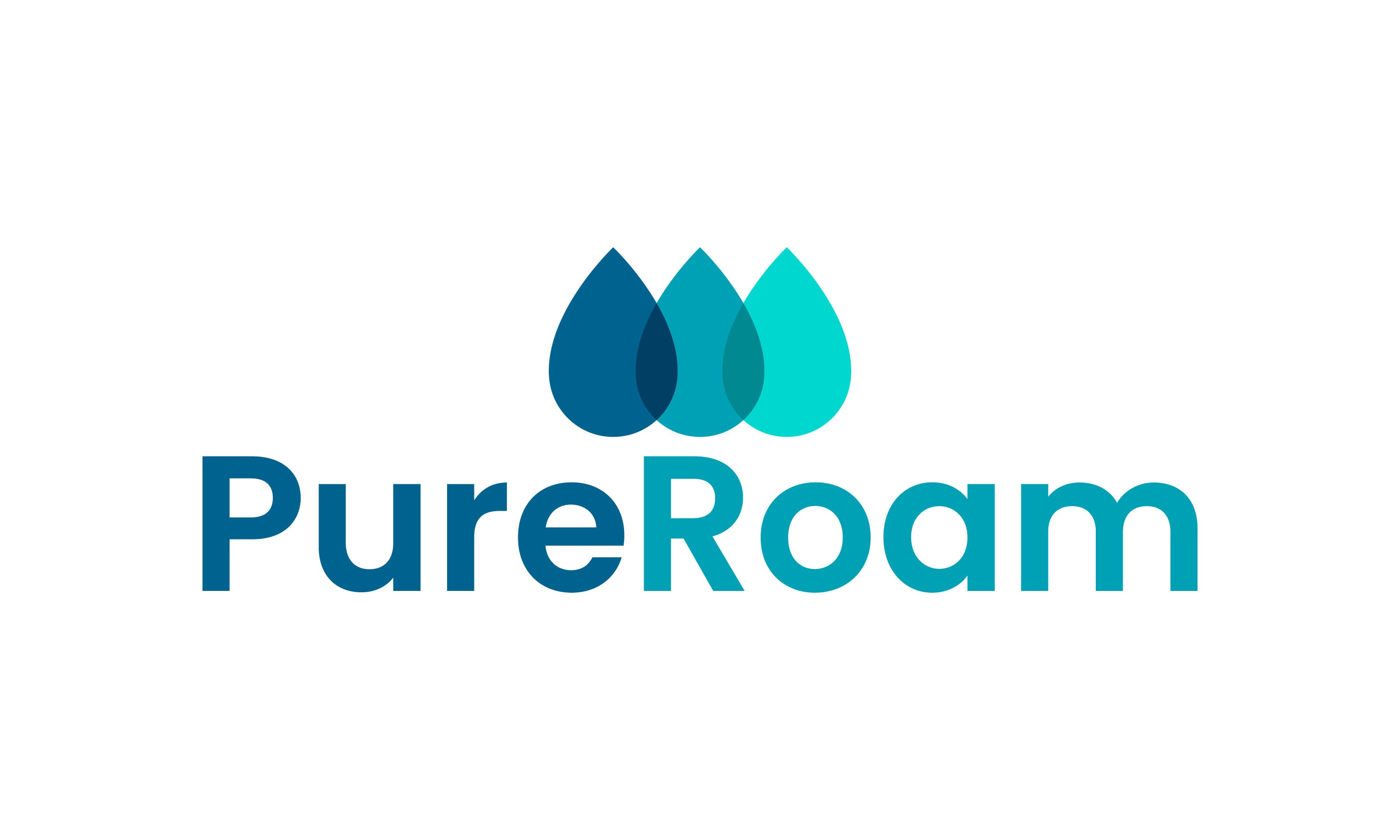 PureRoam logo