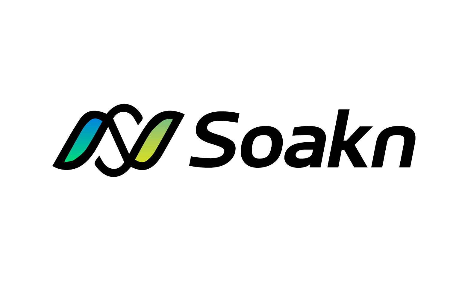 Soakn logo