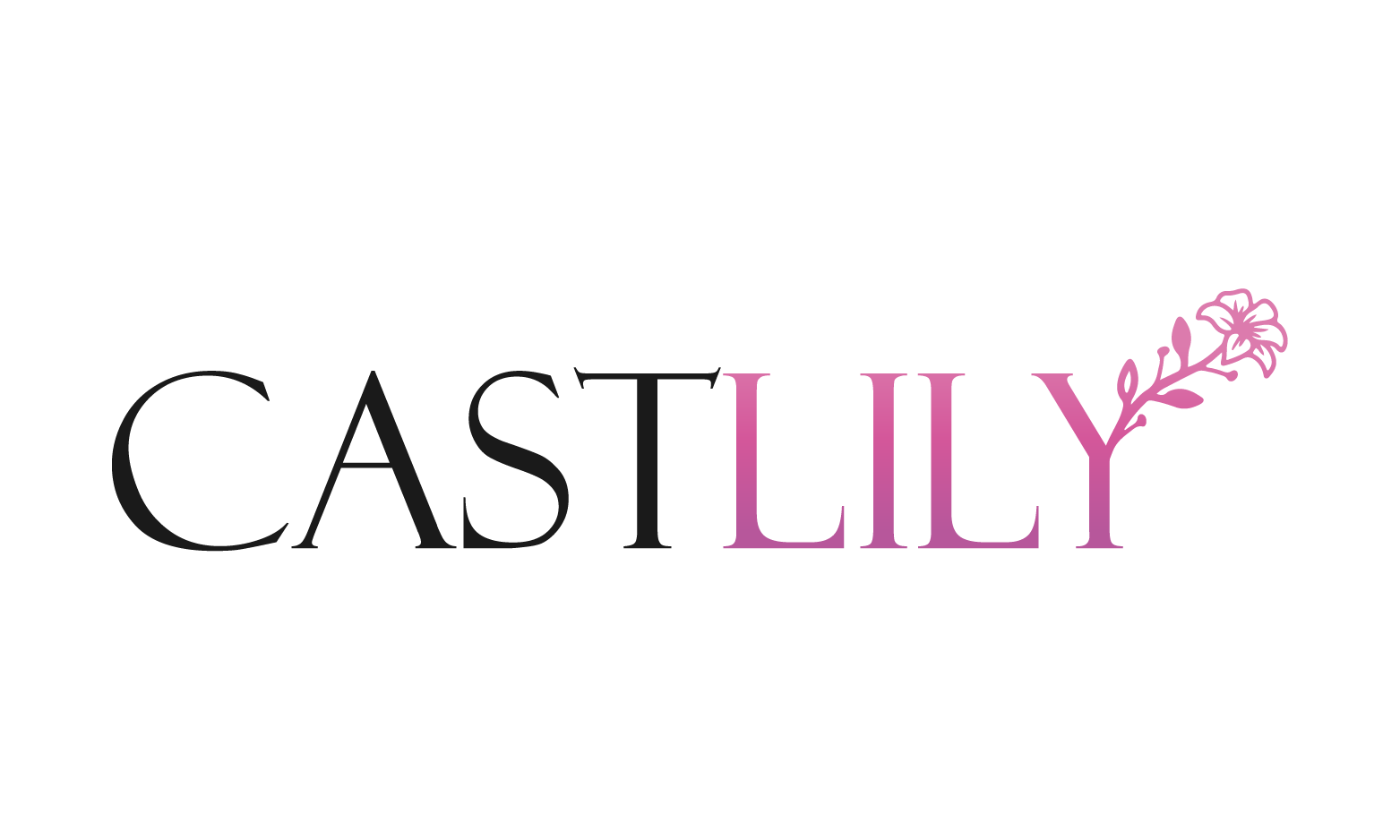 Castlily.com - Great premium names