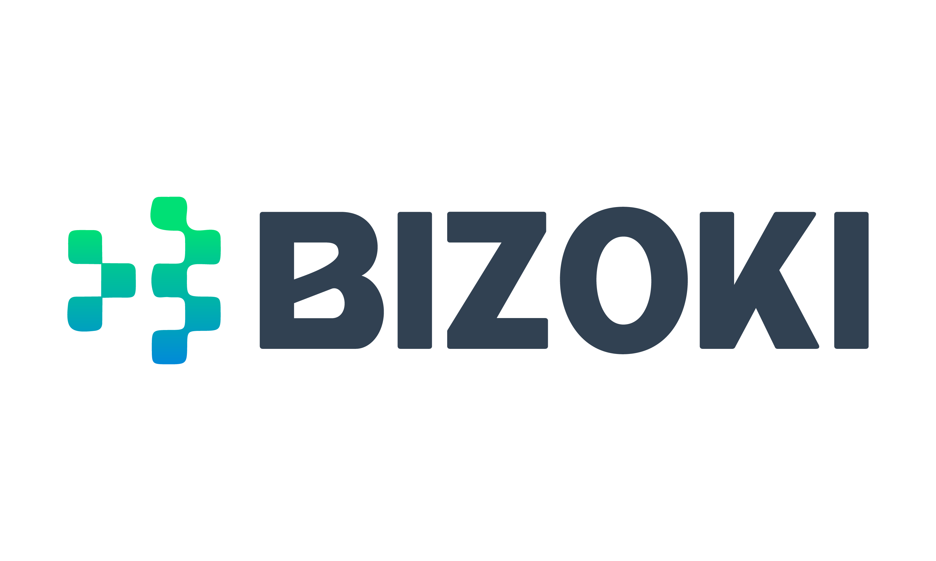 Bizoki logo