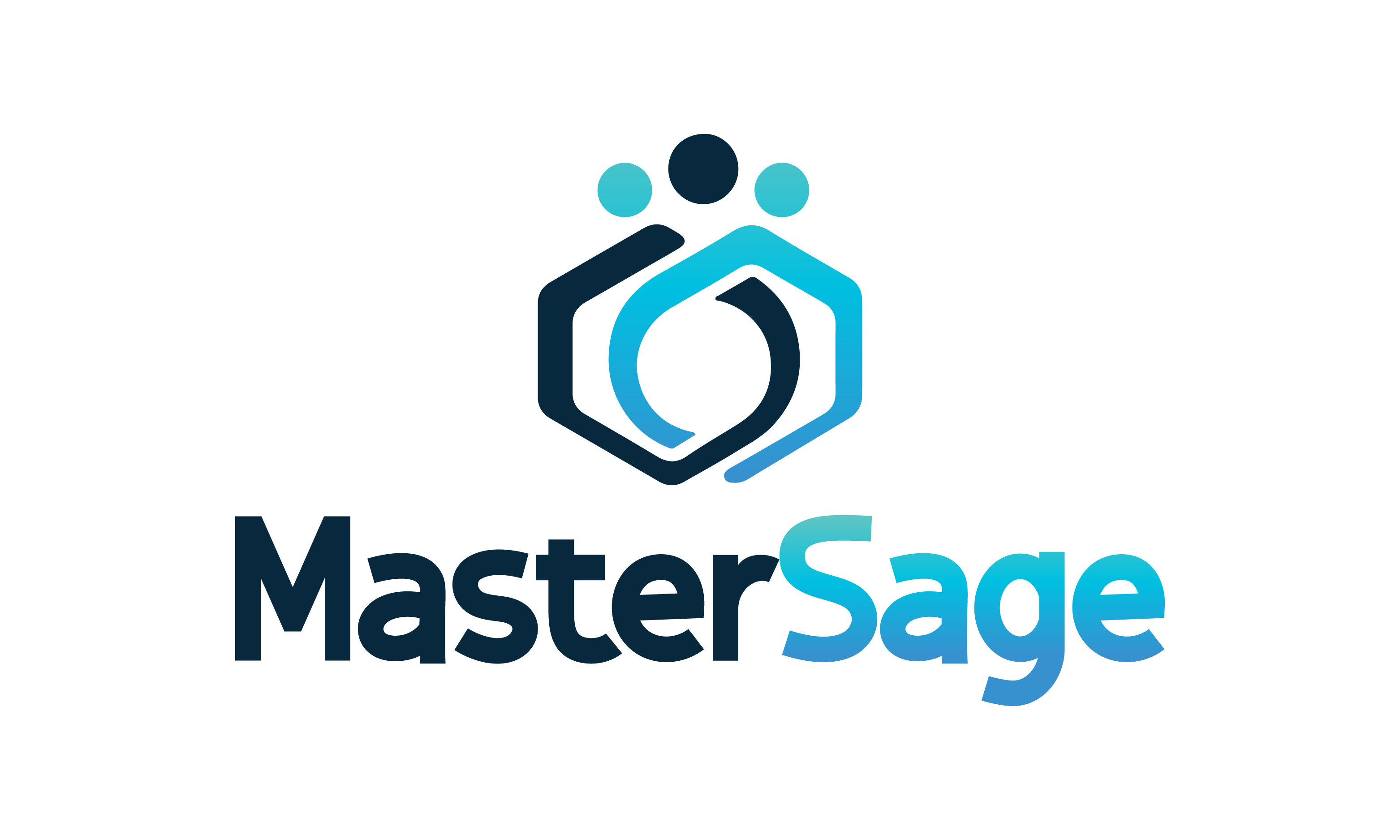 MasterSage logo
