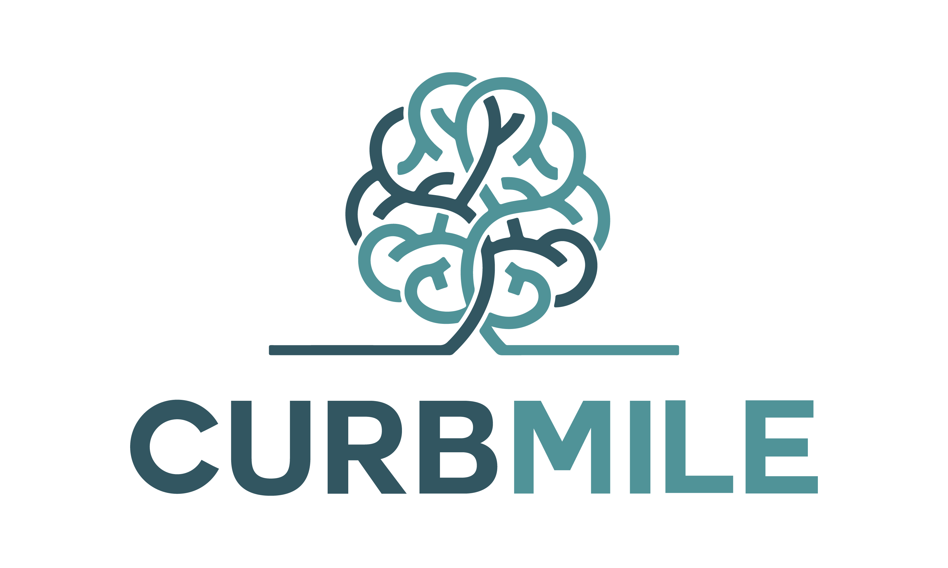 CurbMile.com - Creative premium names