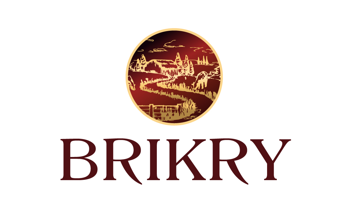Brikry.com - Unique premium domains for sale