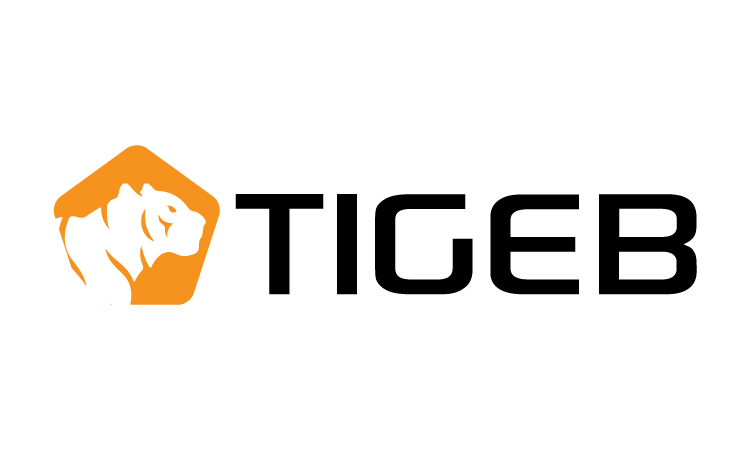 Tigeb.com - Catchy premium domains for sale