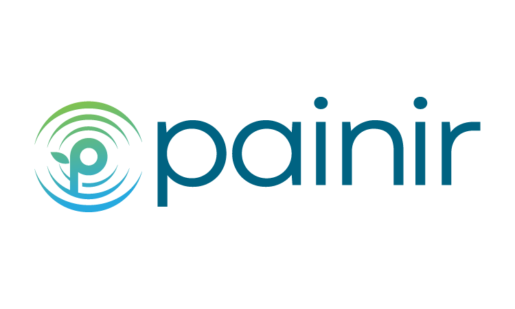Painir logo