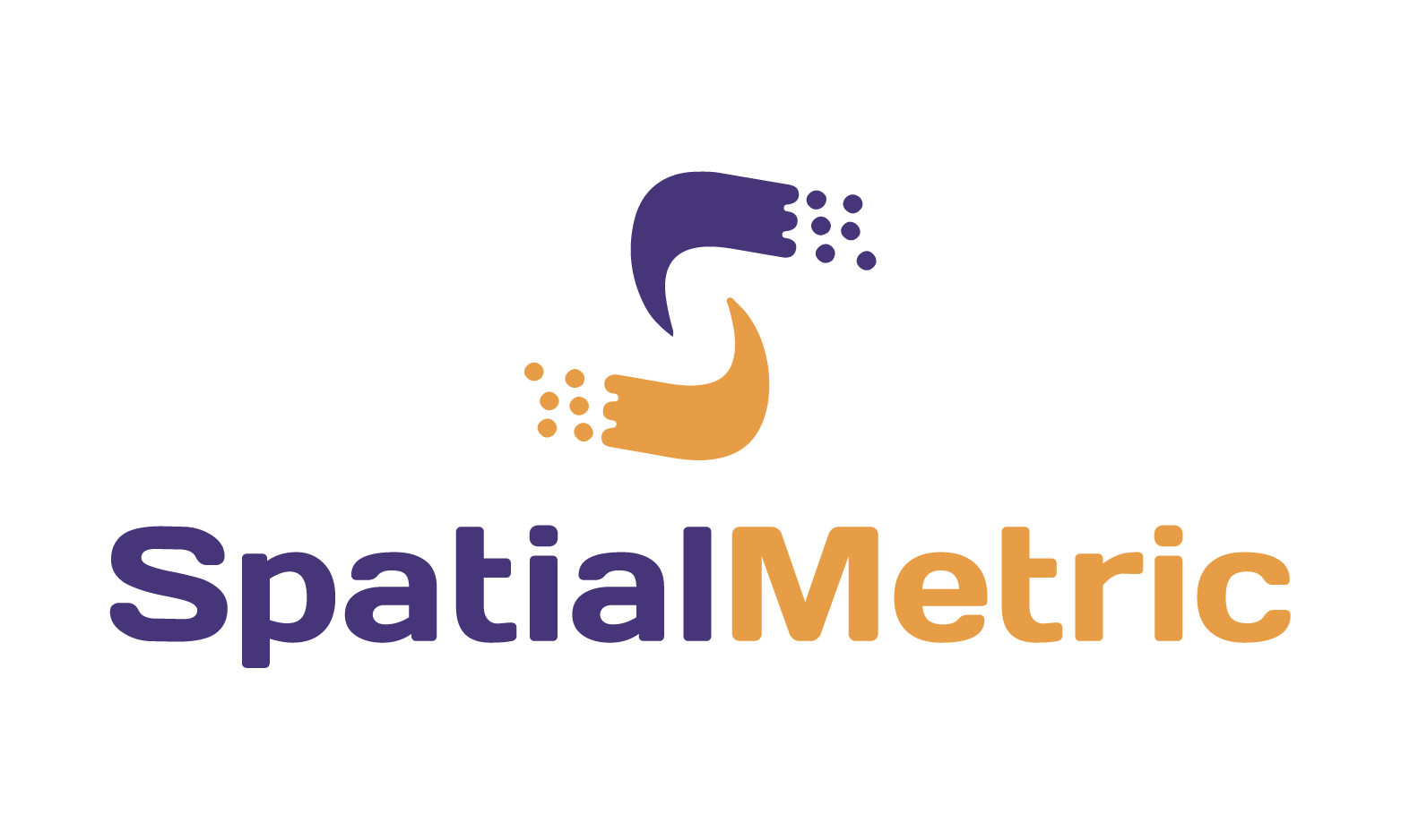 SpatialMetric logo