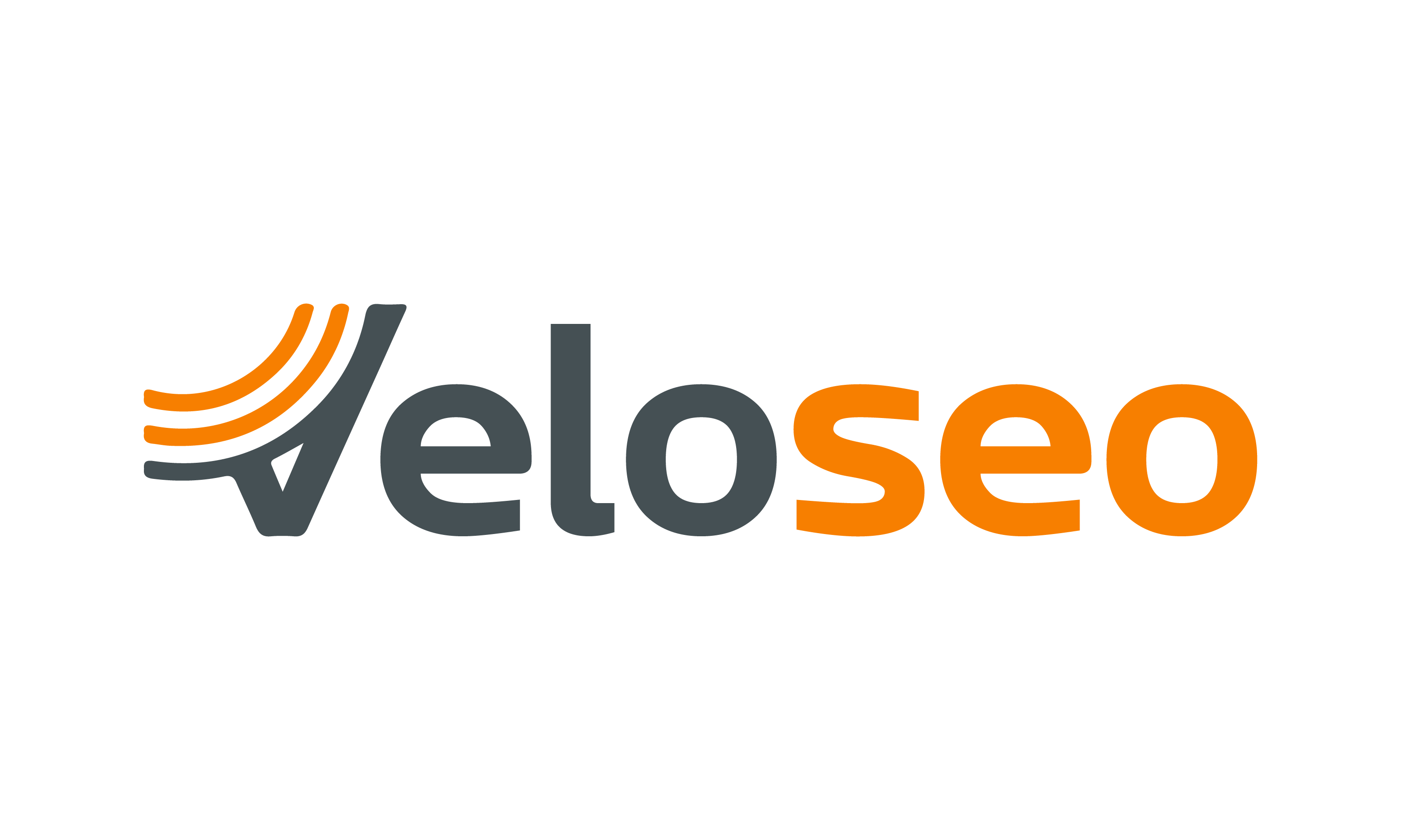 Veloseo logo