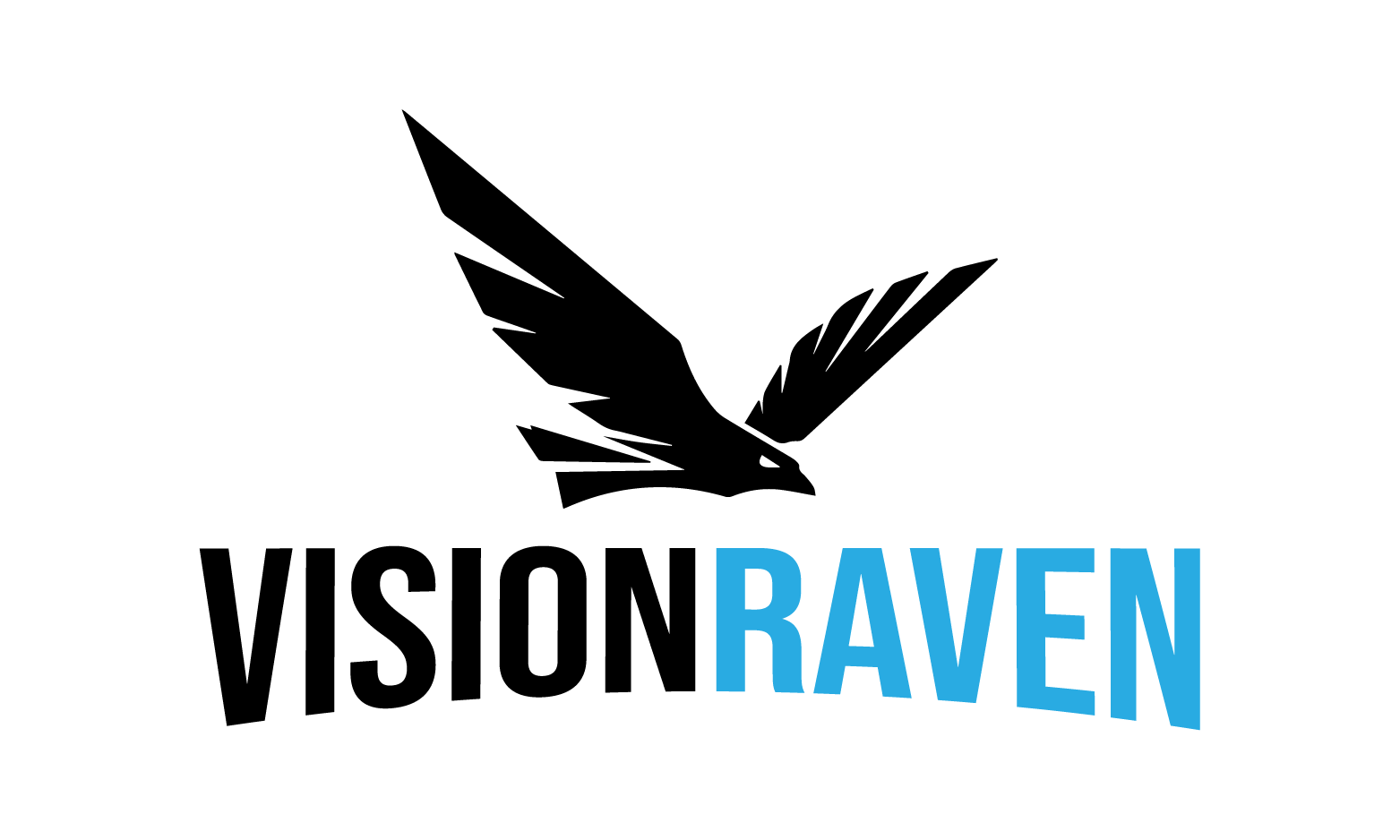 VisionRaven.com - Catchy premium domain names