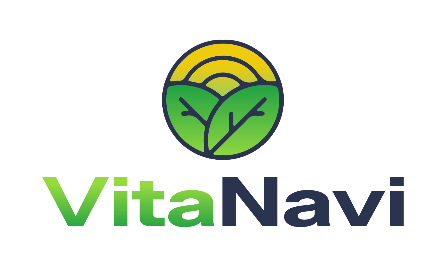 VitaNavi logo