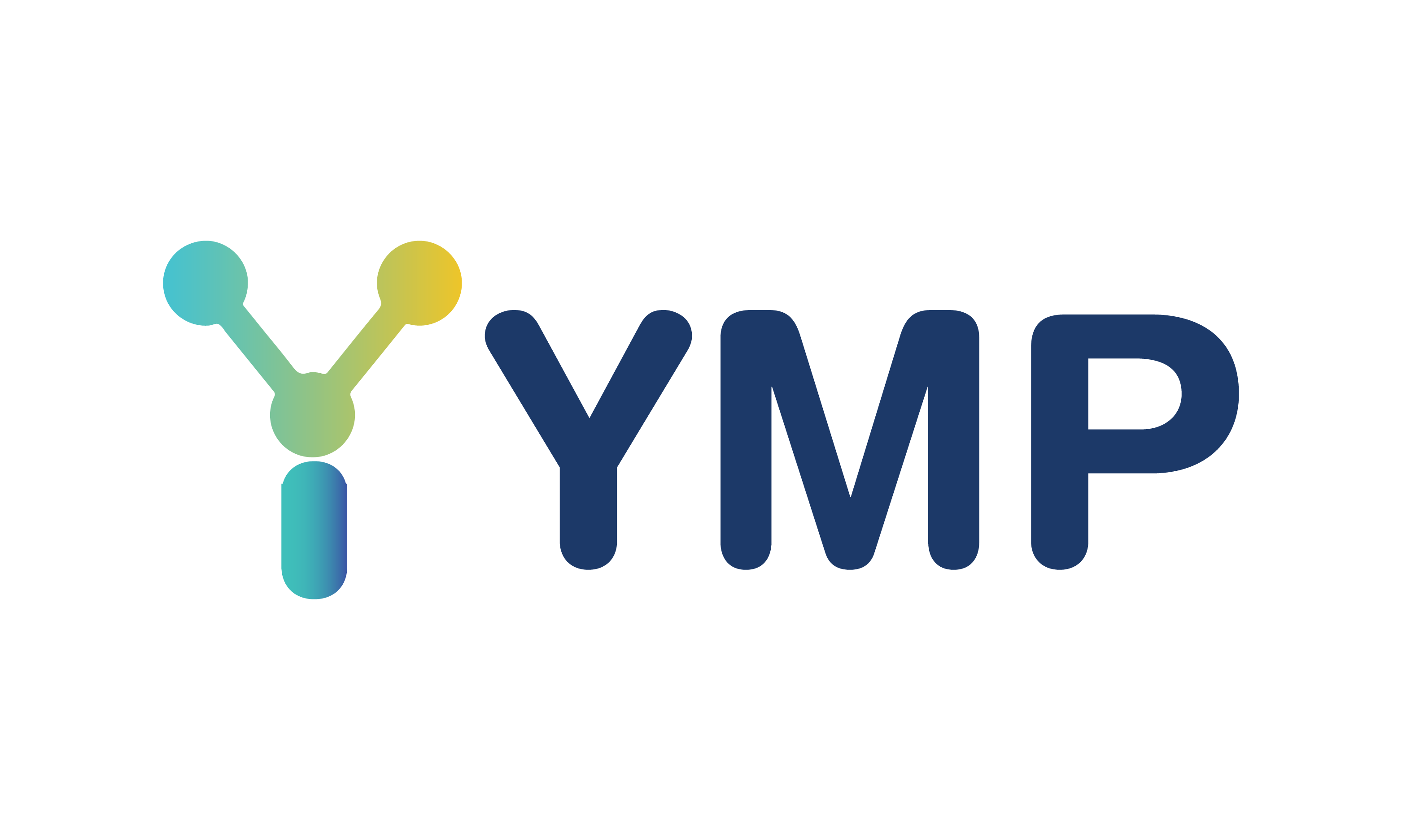 YMP logo
