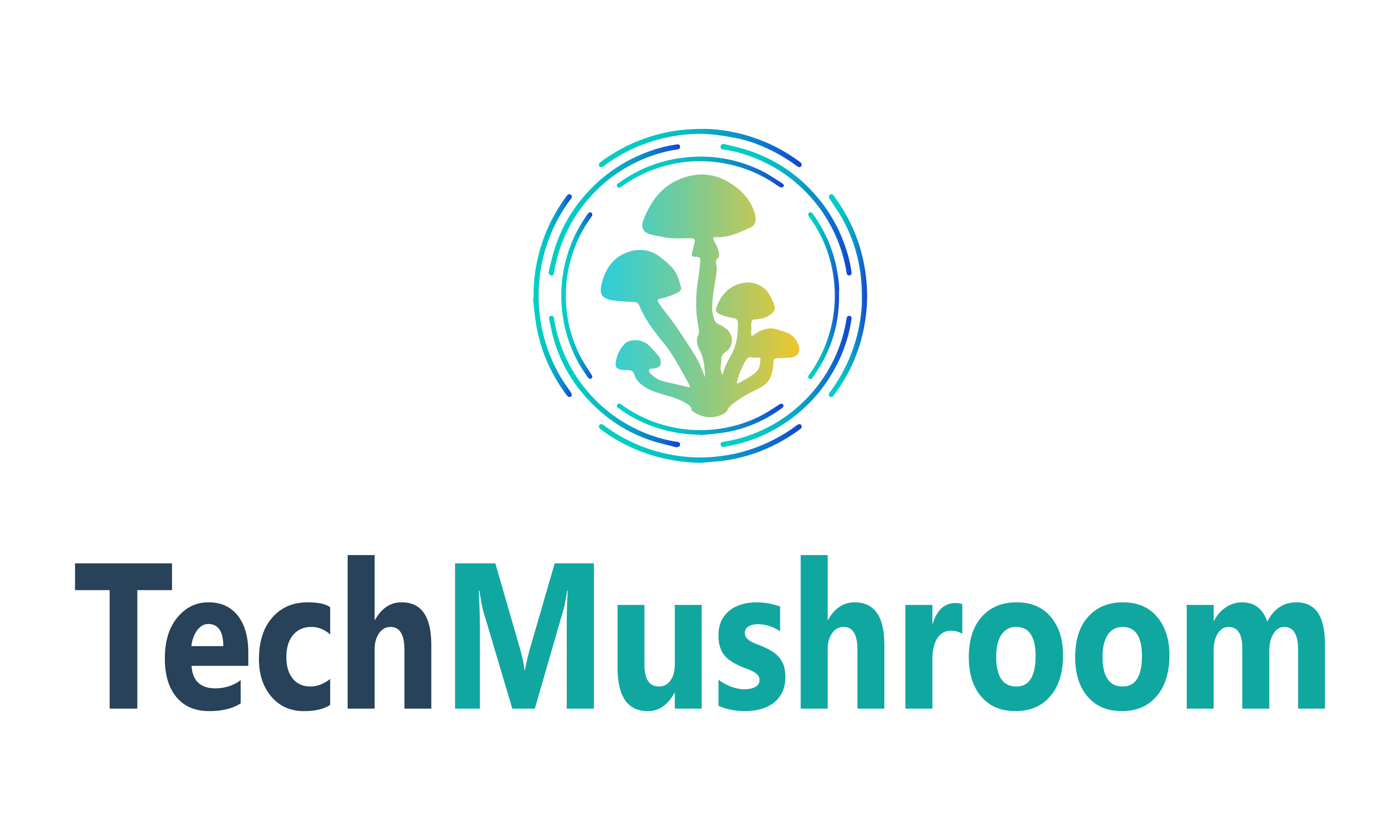 TechMushroom.com - New premium domain names