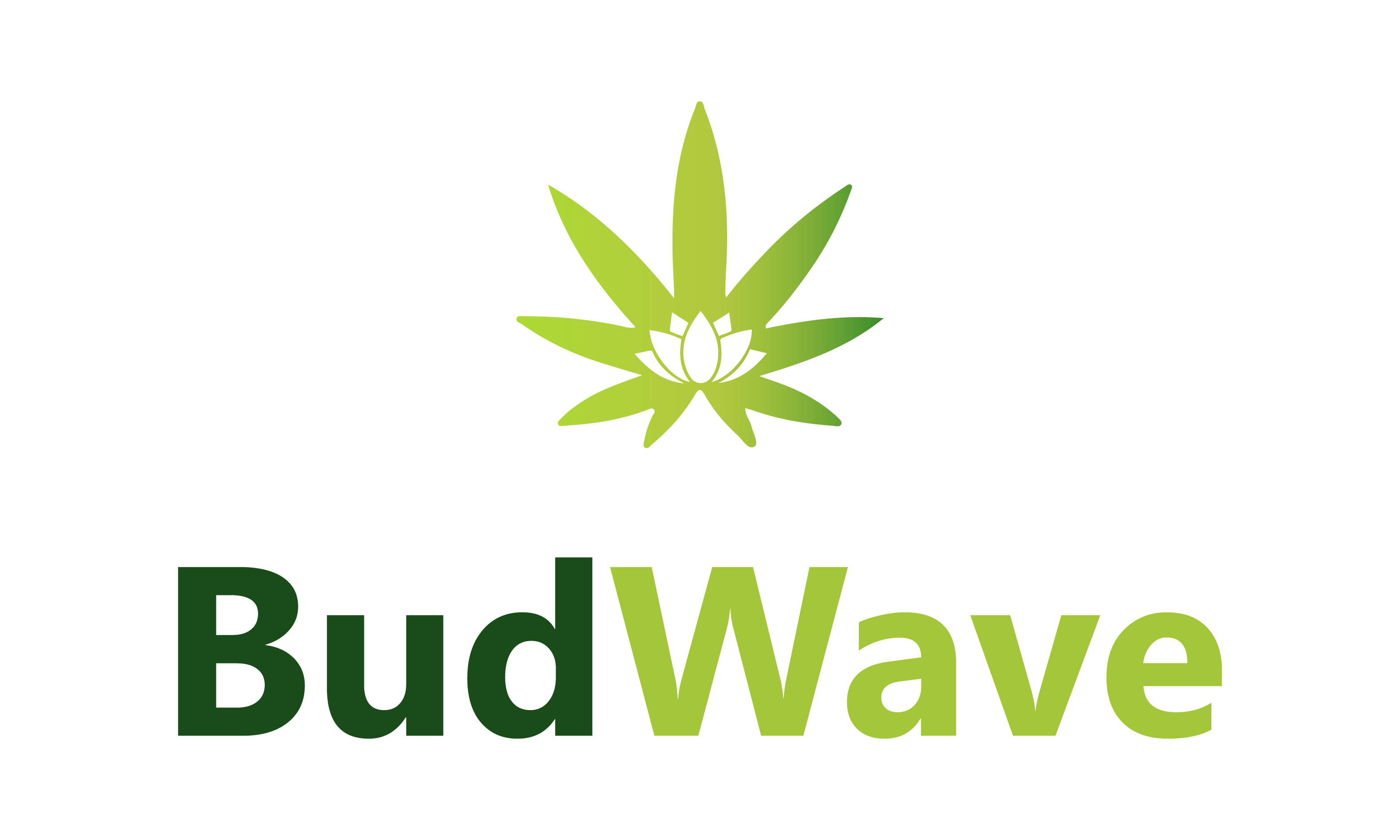 BudWave logo