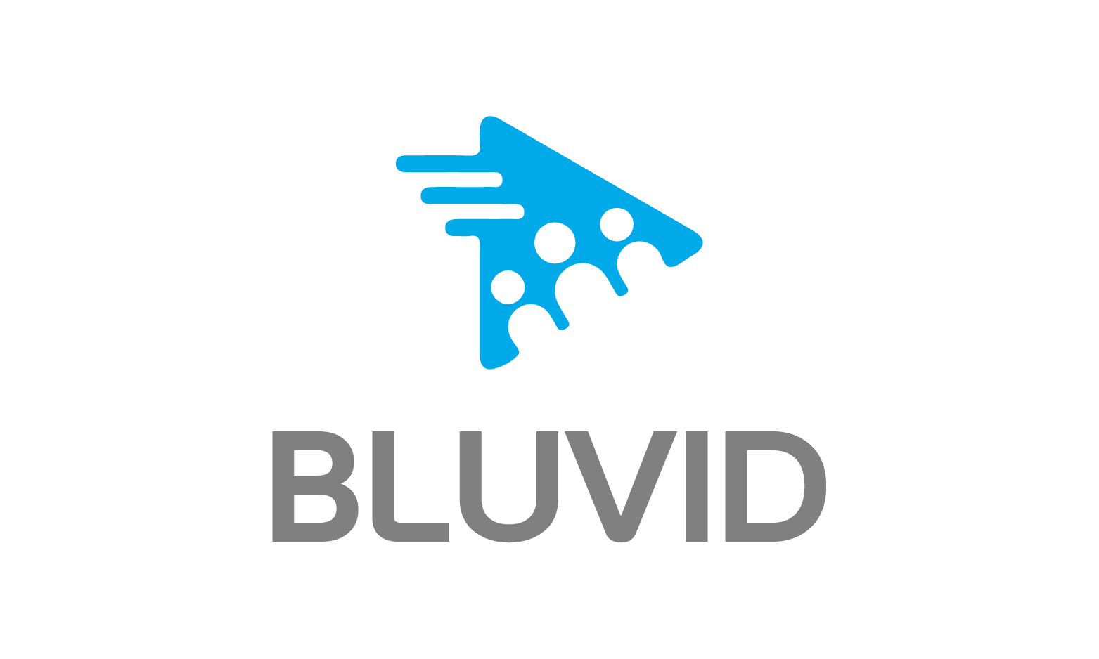BluVid logo