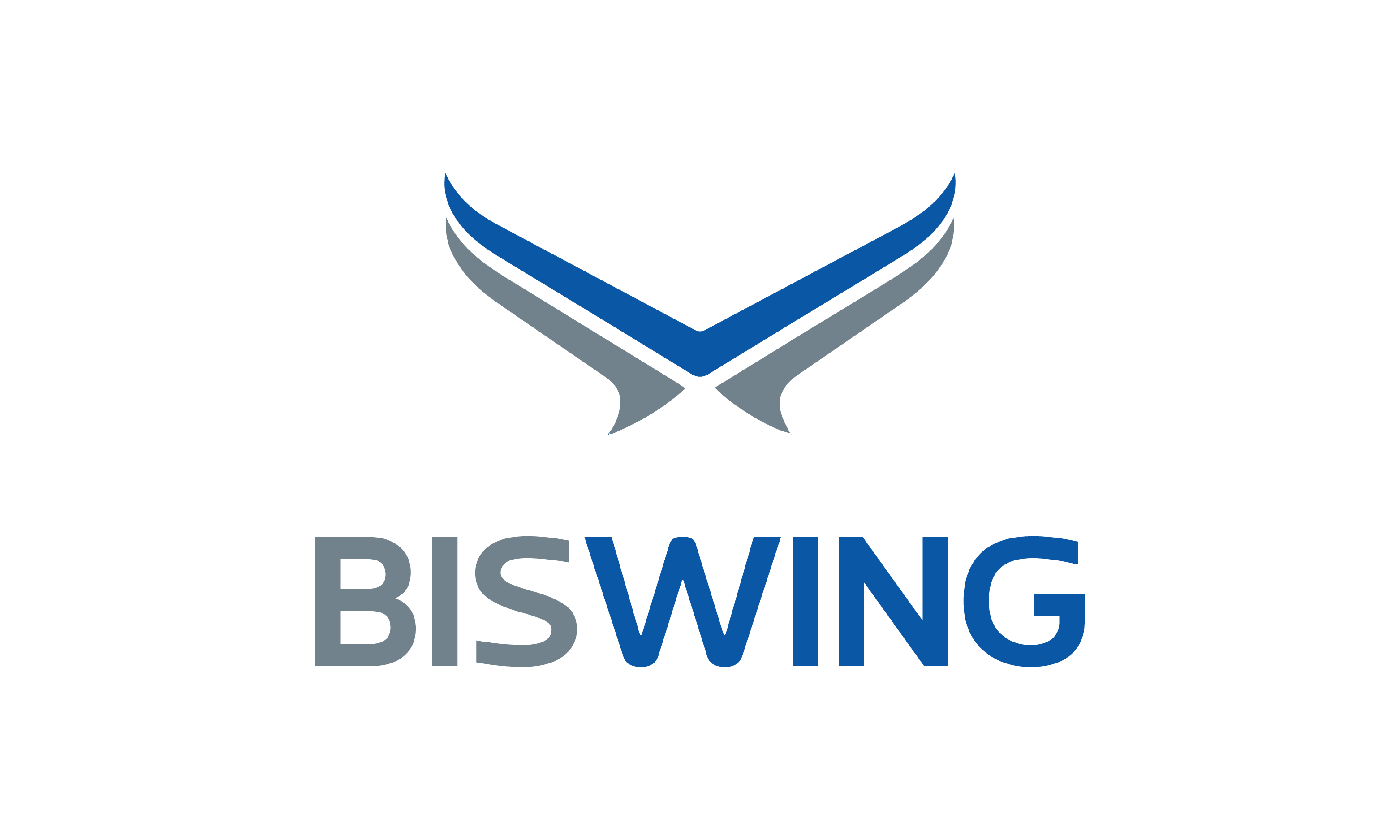 Biswing.com - buy Great premium names