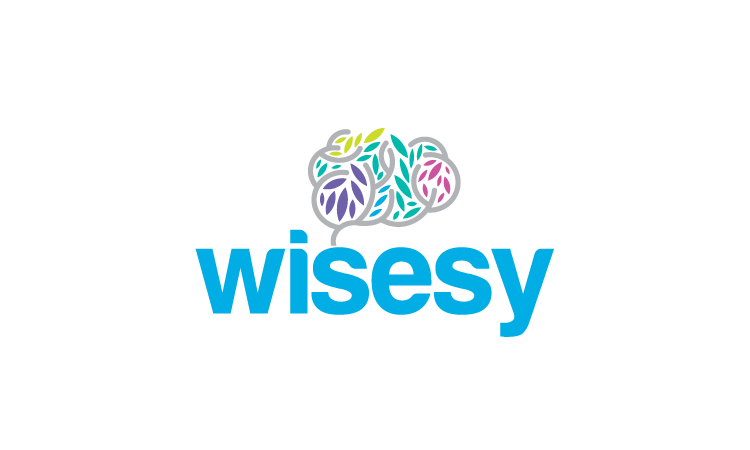 Wisesy logo