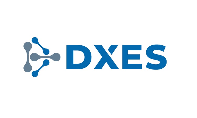 DXES.com - New premium names