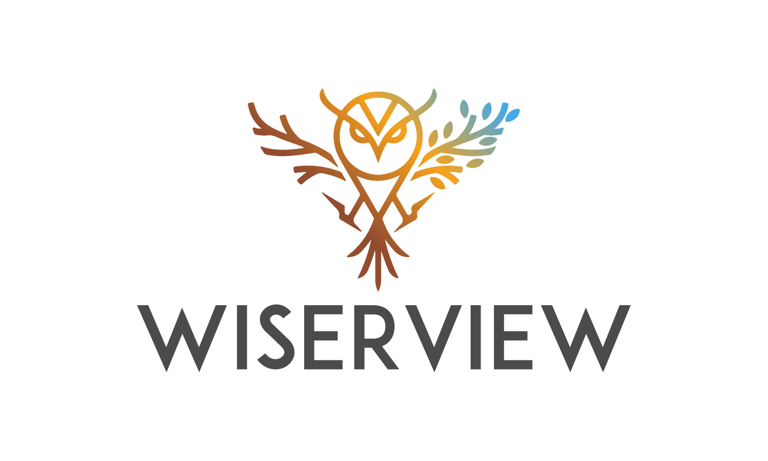 WiserView logo