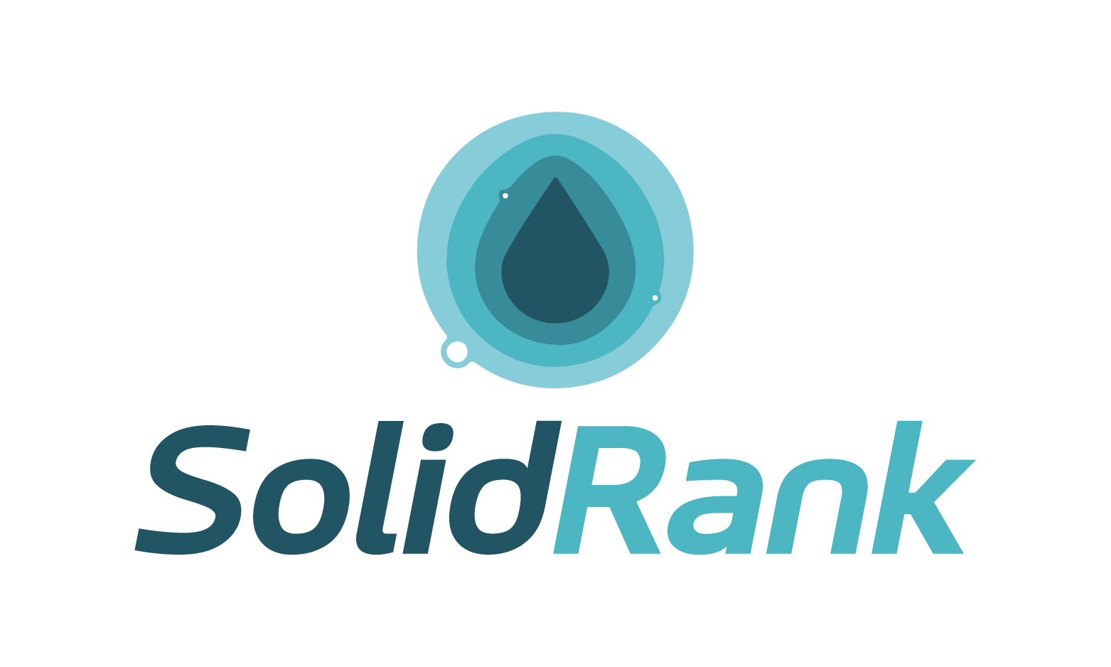 SolidRank logo