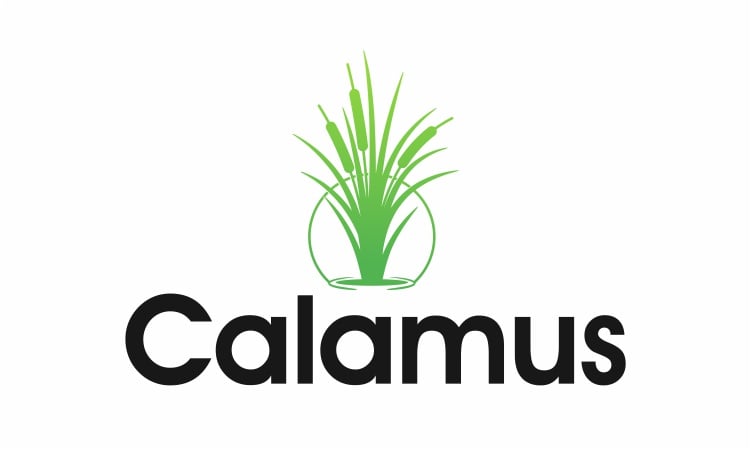 Calamus.com - buy Creative premium names