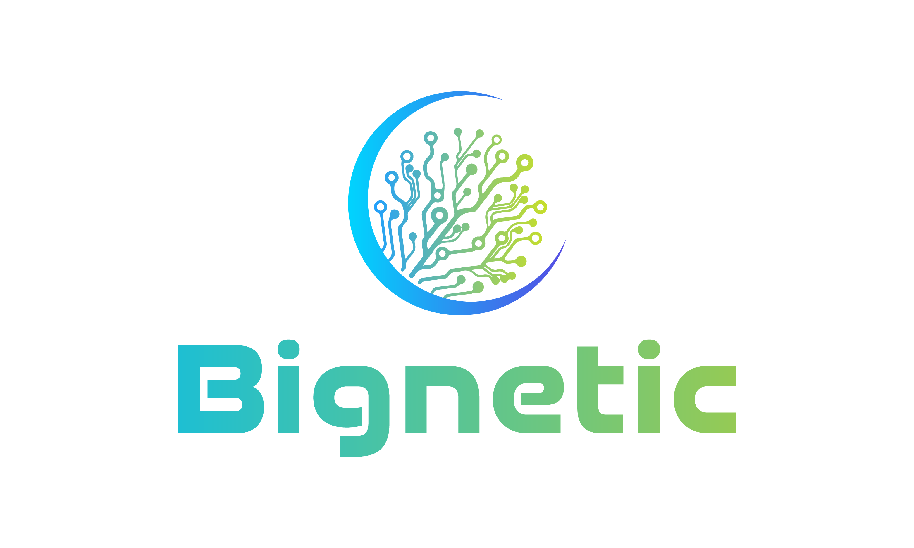 Bignetic.com - Creative domains for sale