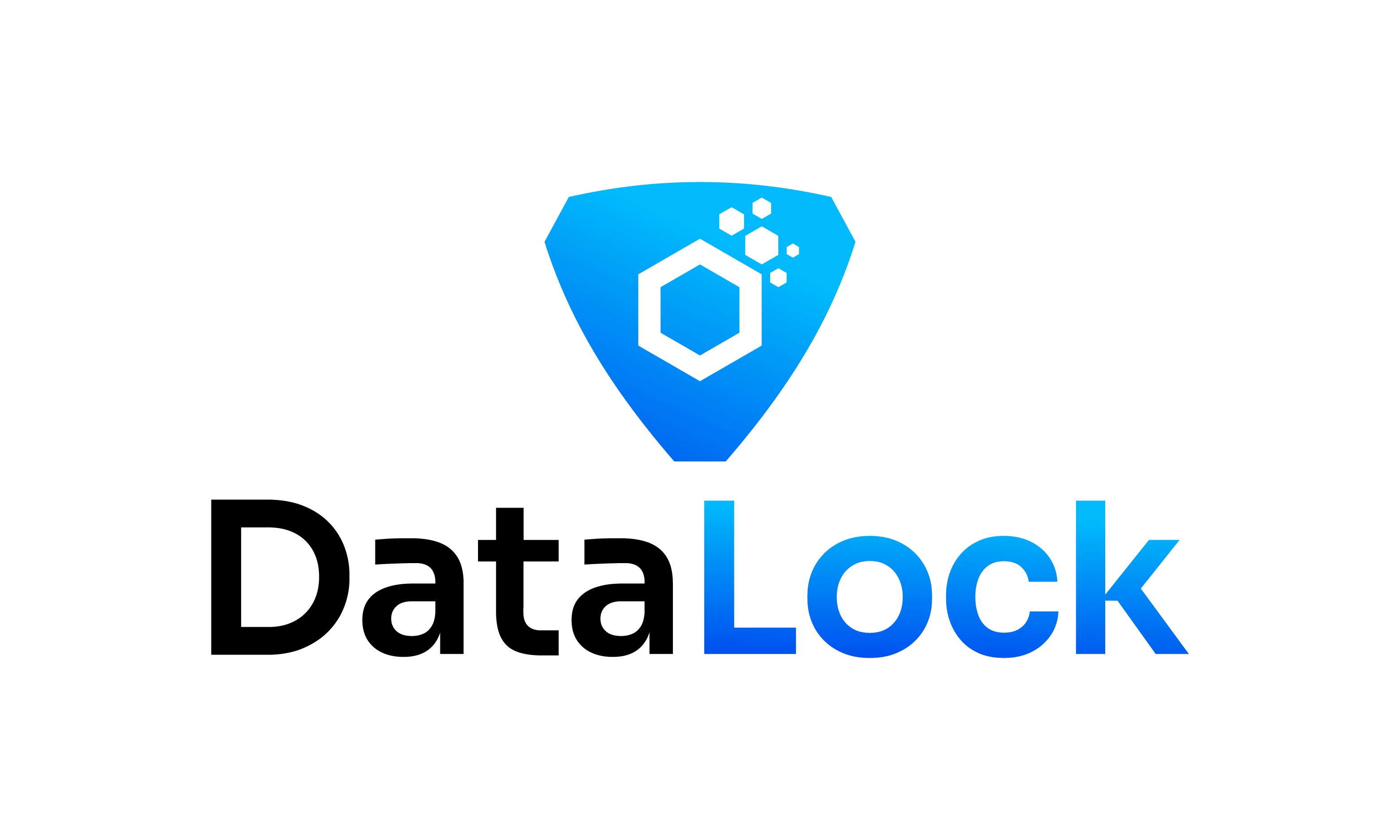 Datalock logo