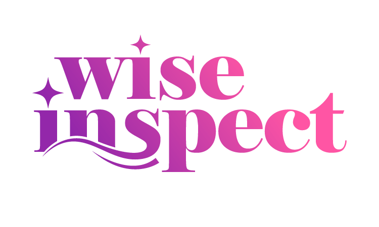 WiseInspect logo