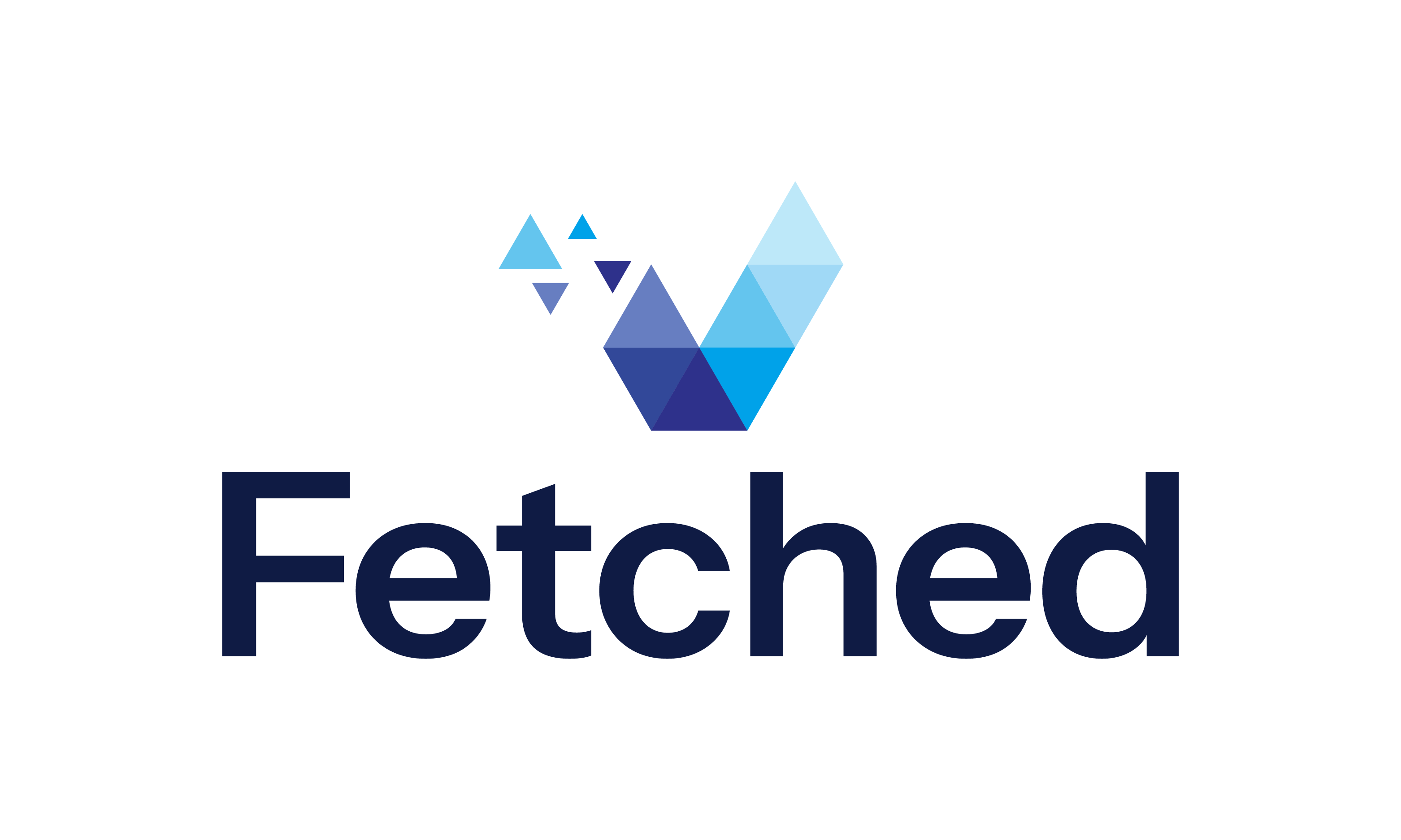 Fetched logo