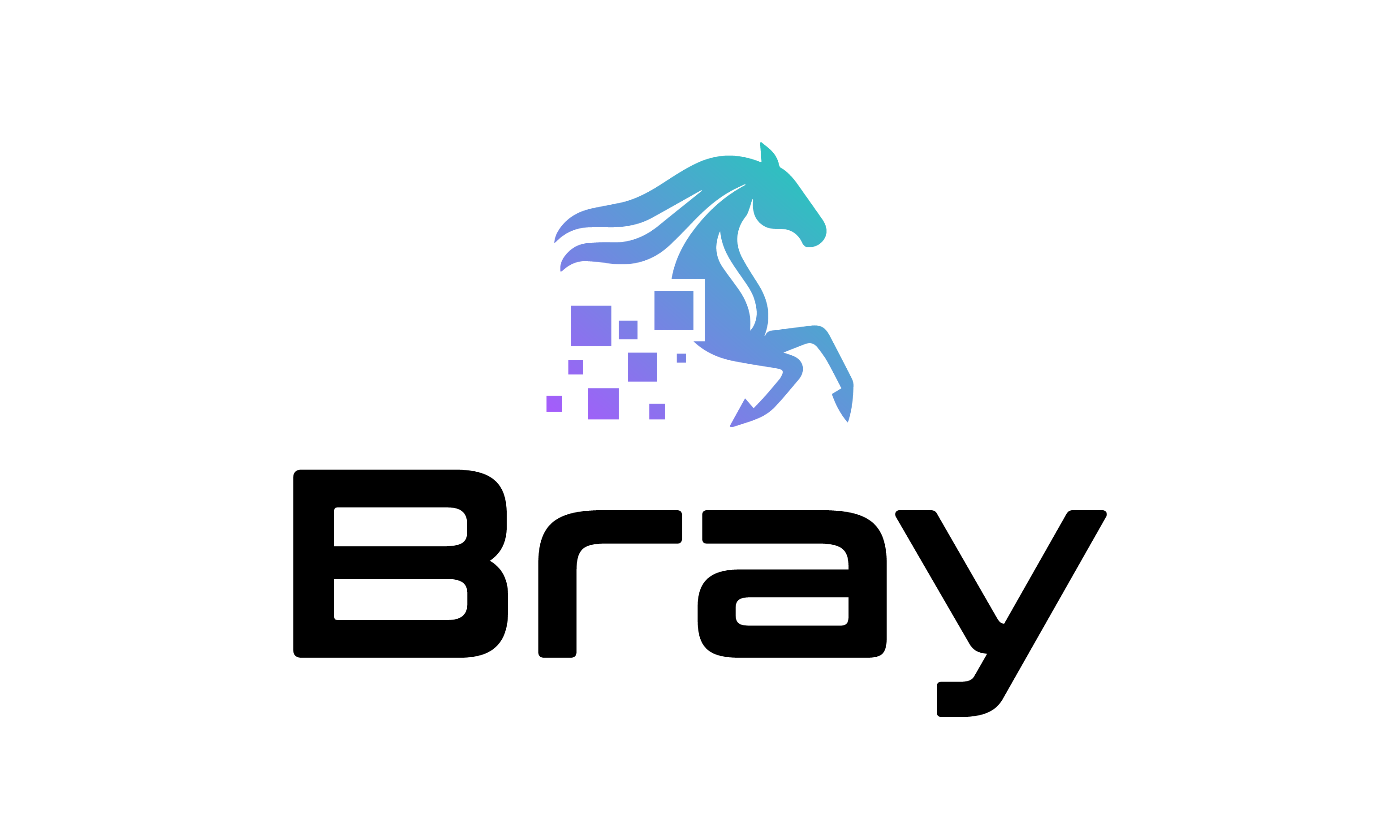 BRAY logo