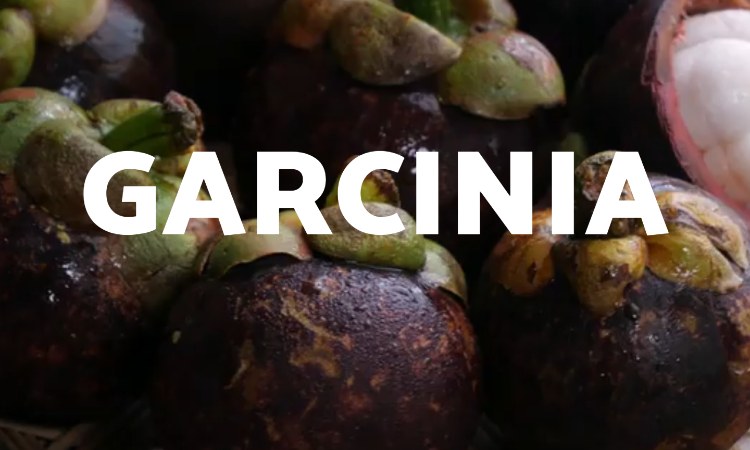 Garcinia logo
