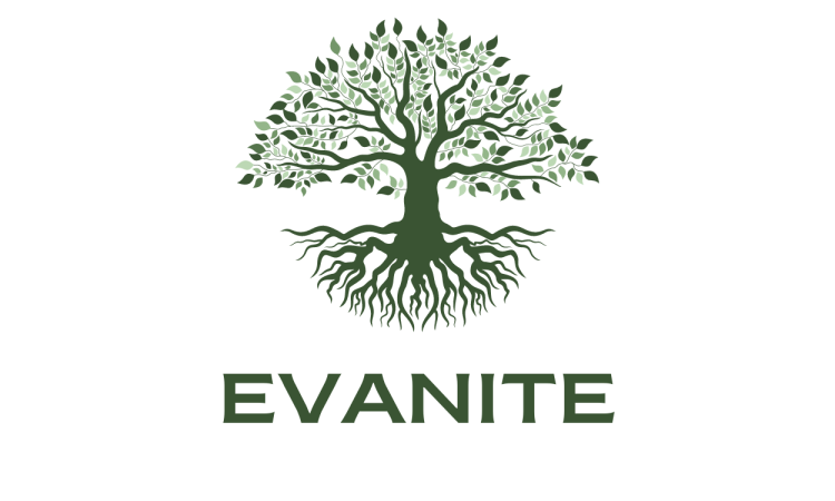 Evanite logo