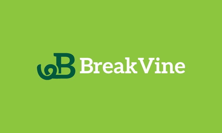BreakVine.com - Best premium domain names