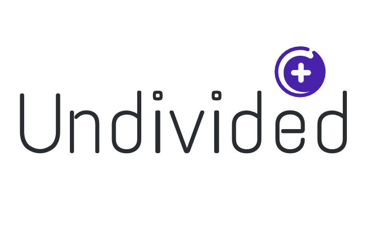 Undivided logo