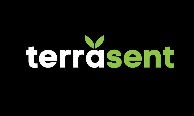 TerraSent.com - Good premium domain names for sale