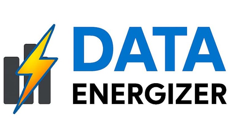 DataEnergizer logo