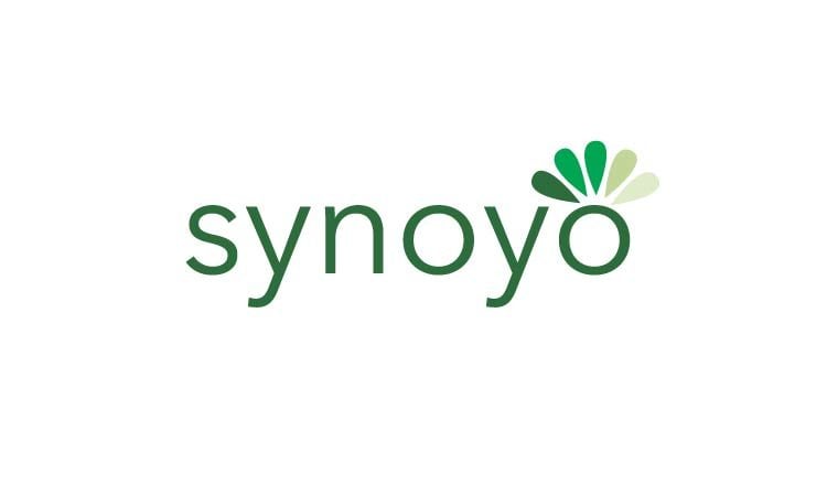 Synoyo.com - Cool premium domain marketplace