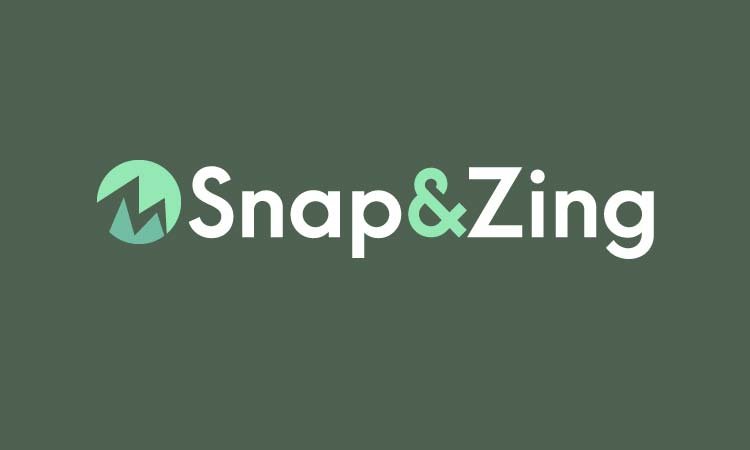 SnapAndZing.com - buy New premium domains