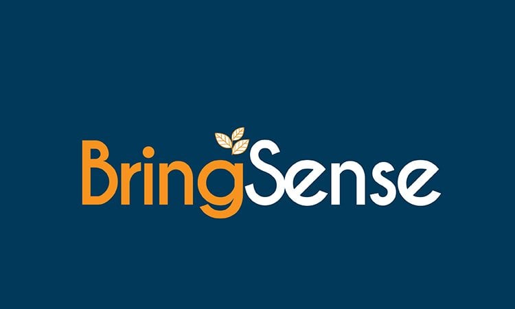 BringSense.com - buy Best premium names