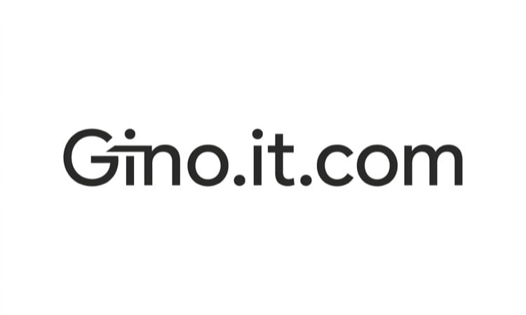 Gino logo