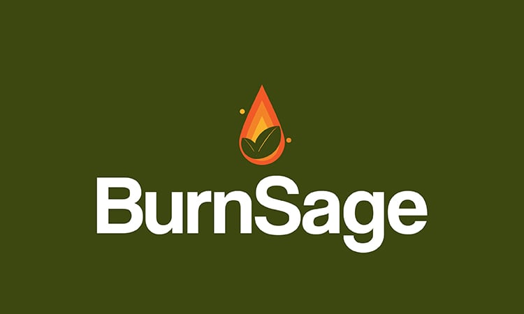 BurnSage logo